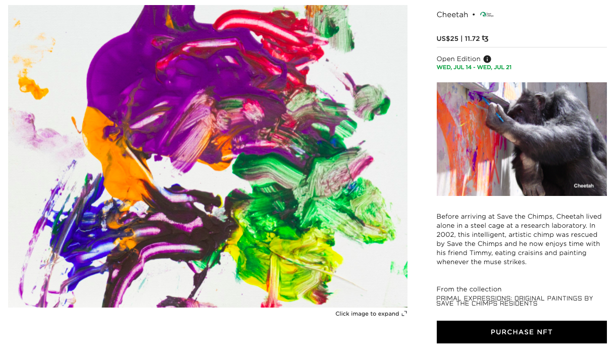 Paintings at Save the Chimps