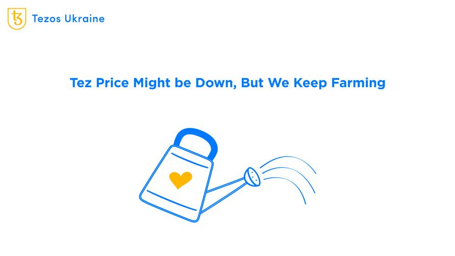 Where to Farm on Tezos These Days?