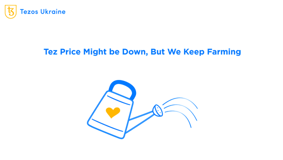 Where to Farm on Tezos These Days?