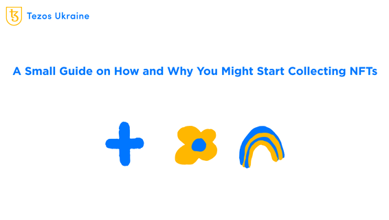 How to Start Collecting NFTs: from Cheap to Expensive