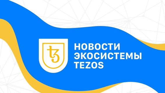 Интервью Tezos Foundation с основателем Madfish Solutions Матвеем Сиворакшей
